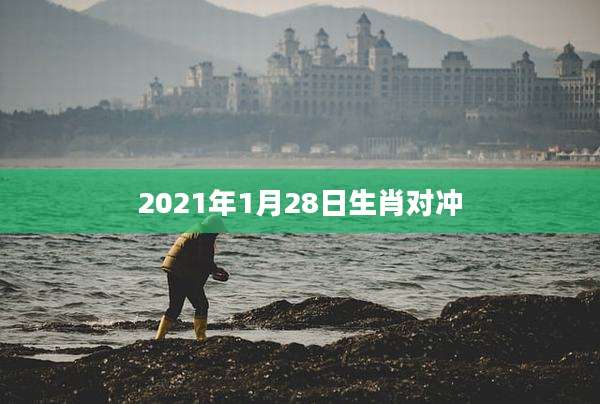 2021年1月28日生肖对冲