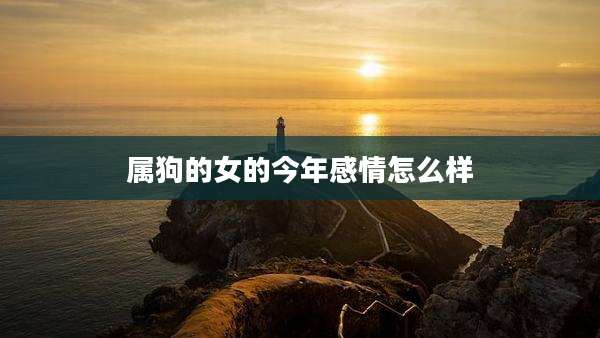 属狗的女的今年感情怎么样
