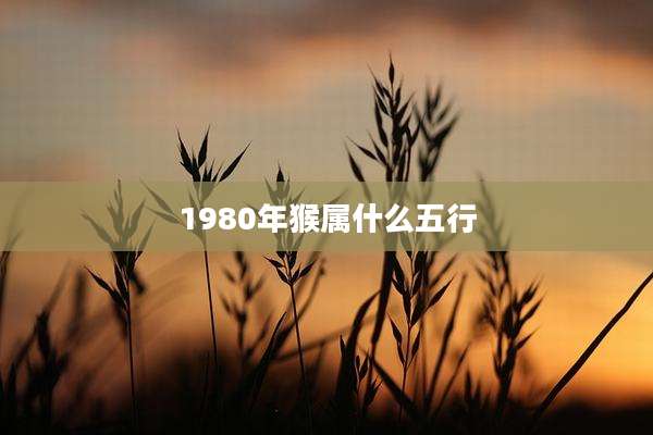 1980年猴属什么五行