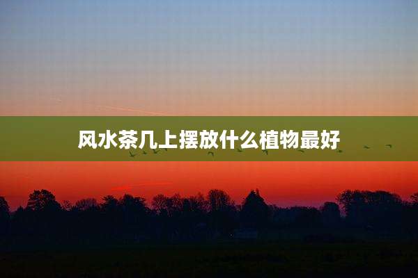 风水茶几上摆放什么植物最好