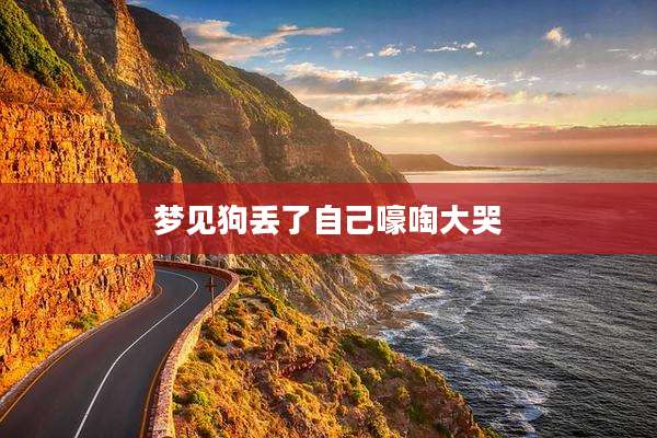 梦见狗丢了自己嚎啕大哭