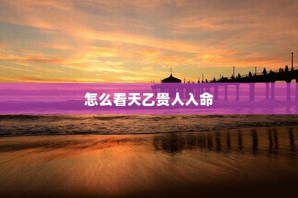 怎么看天乙贵人入命