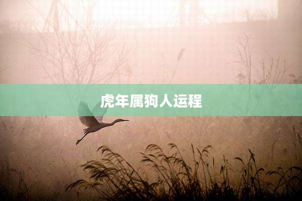 虎年属狗人运程