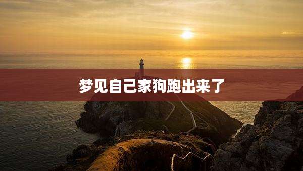 梦见自己家狗跑出来了