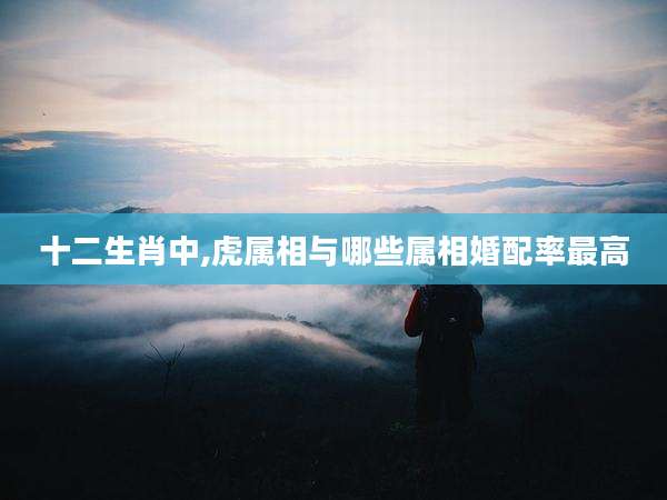 十二生肖中,虎属相与哪些属相婚配率最高