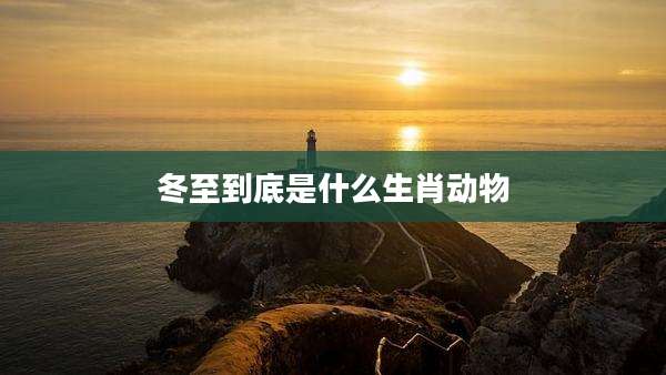 冬至到底是什么生肖动物