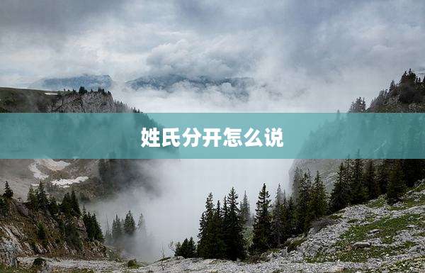 姓氏分开怎么说