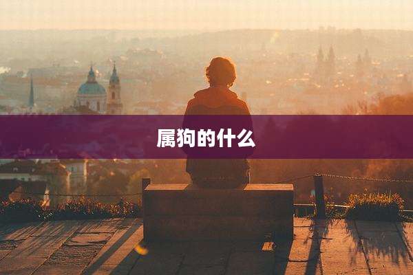 属狗的什么