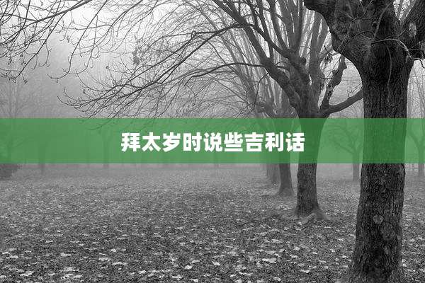 拜太岁时说些吉利话