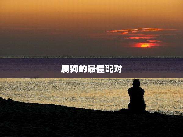 属狗的最佳配对