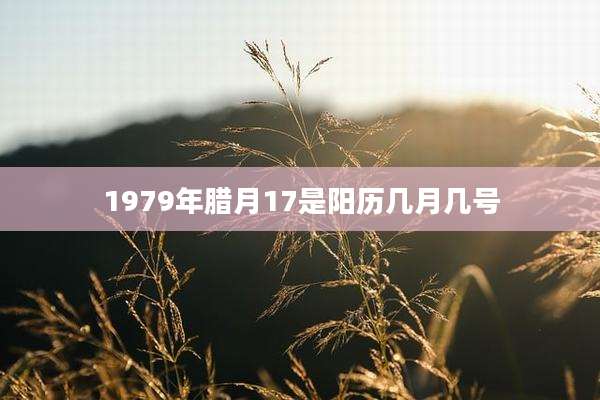 1979年腊月17是阳历几月几号