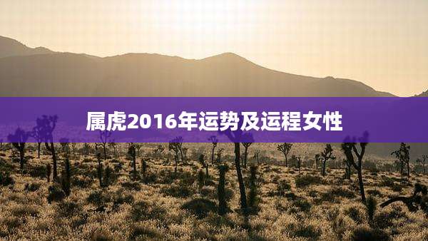 属虎2016年运势及运程女性