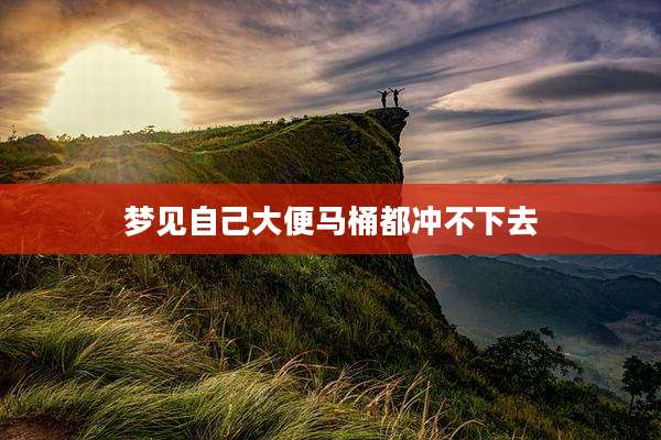 梦见自己大便马桶都冲不下去