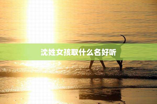 沈姓女孩取什么名好听