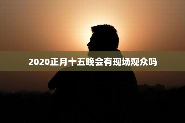 2020正月十五晚会有现场观众吗