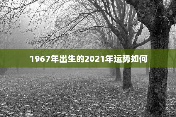1967年出生的2021年运势如何