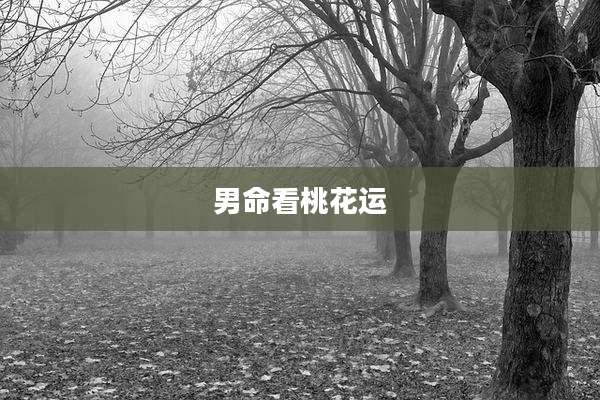 男命看桃花运