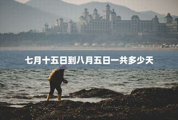 七月十五日到八月五日一共多少天