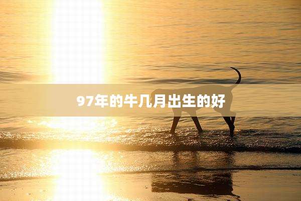 97年的牛几月出生的好