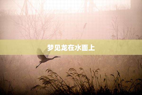 梦见龙在水面上