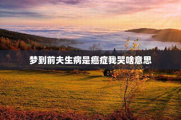梦到前夫生病是癌症我哭啥意思