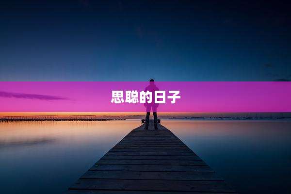 思聪的日子