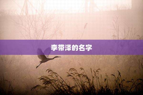 李带泽的名字