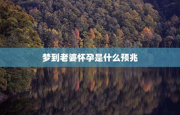 梦到老婆怀孕是什么预兆