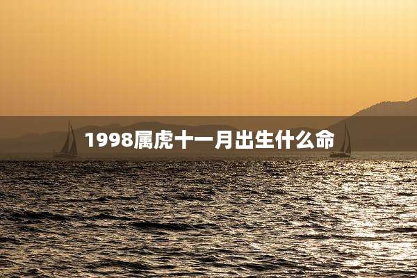 1998属虎十一月出生什么命