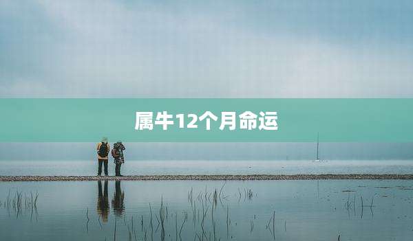 属牛12个月命运