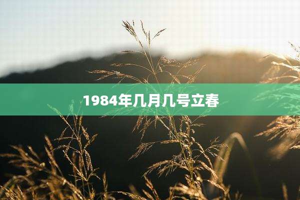 1984年几月几号立春