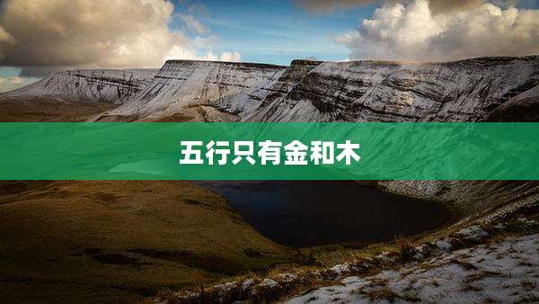 五行只有金和木