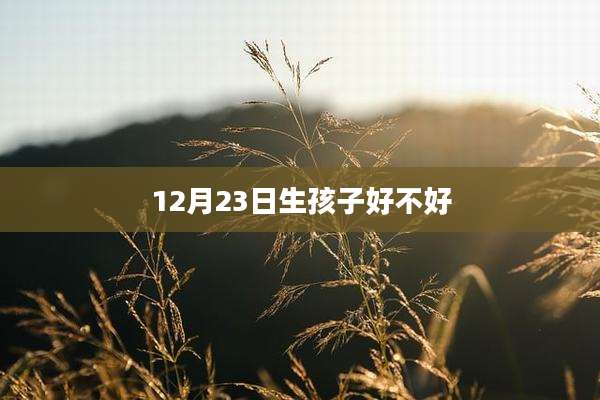 12月23日生孩子好不好