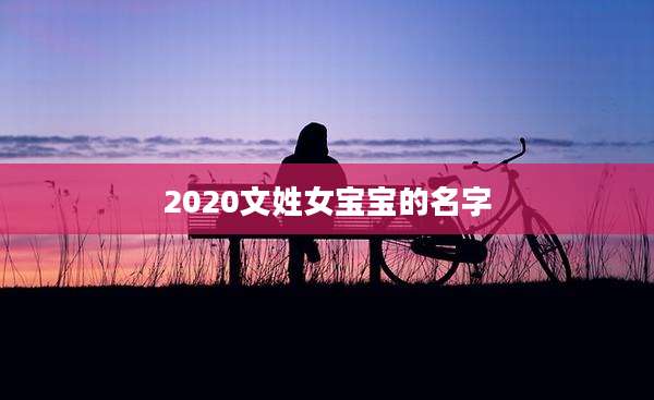 2020文姓女宝宝的名字