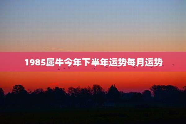 1985属牛今年下半年运势每月运势