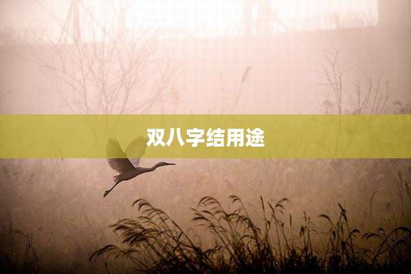双八字结用途