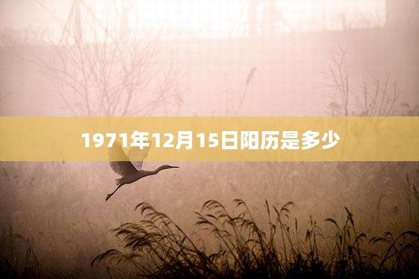 1971年12月15日阳历是多少