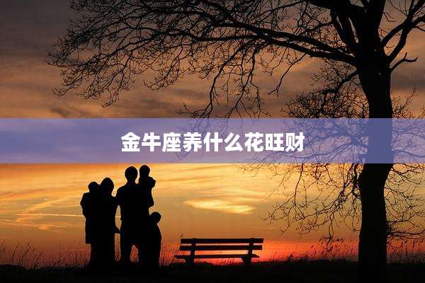 金牛座养什么花旺财