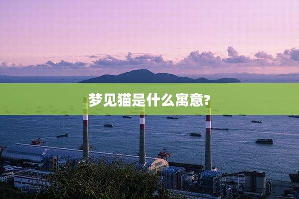 梦见猫是什么寓意?