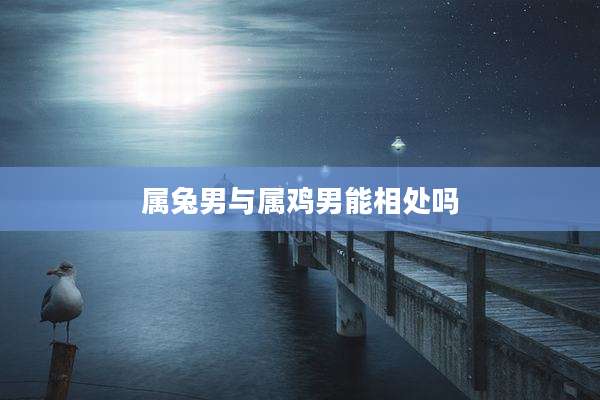 属兔男与属鸡男能相处吗