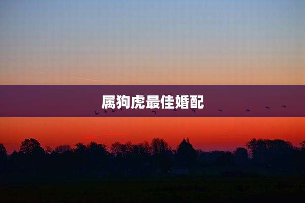 属狗虎最佳婚配