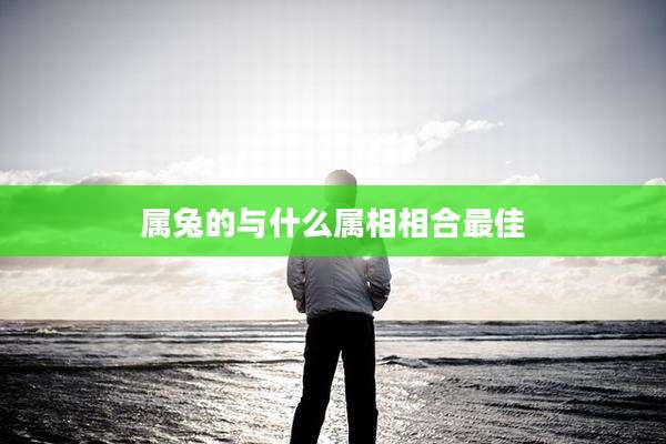 属兔的与什么属相相合最佳