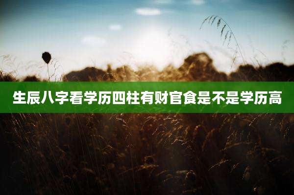 生辰八字看学历四柱有财官食是不是学历高