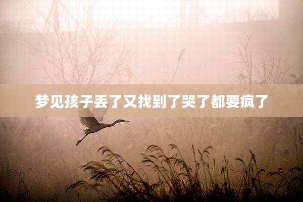 梦见孩子丢了又找到了哭了都要疯了