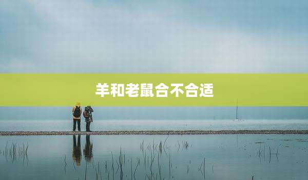 羊和老鼠合不合适