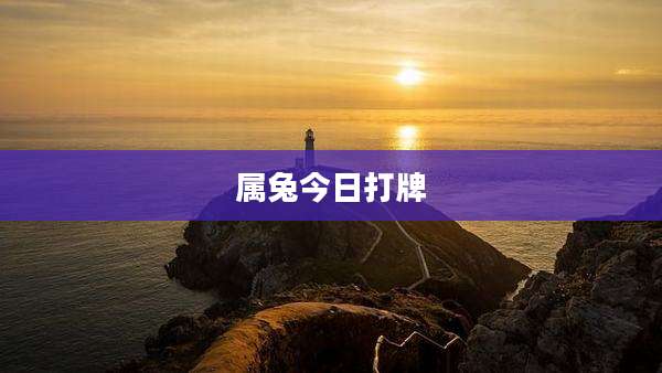 属兔今日打牌