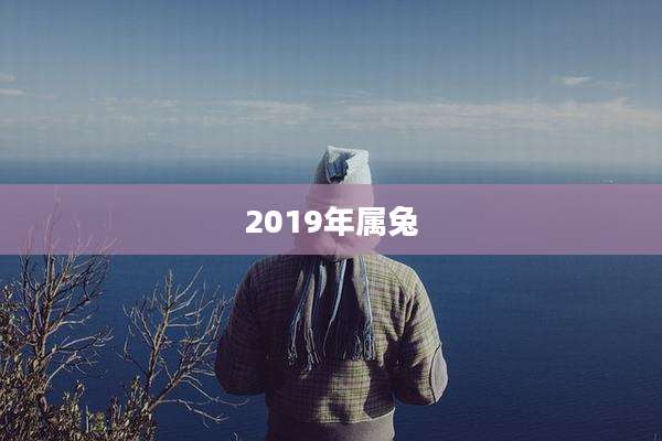 2019年属兔