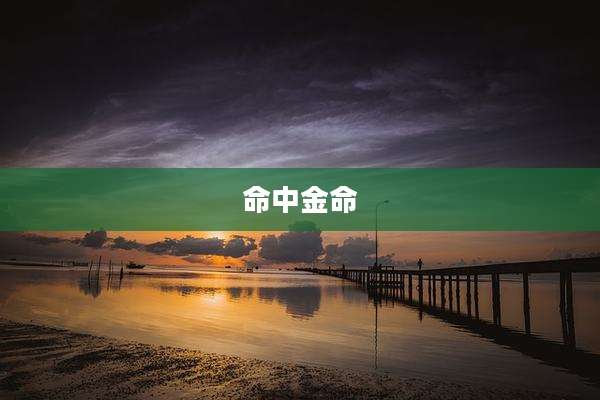 命中金命
