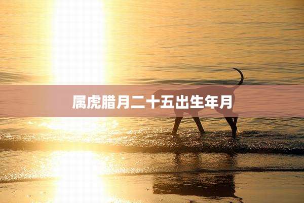 属虎腊月二十五出生年月
