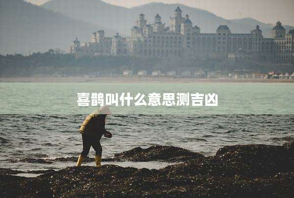 喜鹊叫什么意思测吉凶